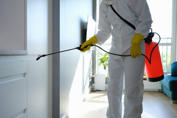 Biohazard Mold Removal in Maple Grove, MN